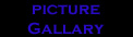 Picture Gallary